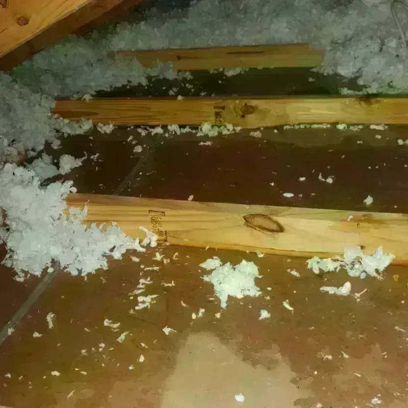 Attic Water Damage in Artondale, WA